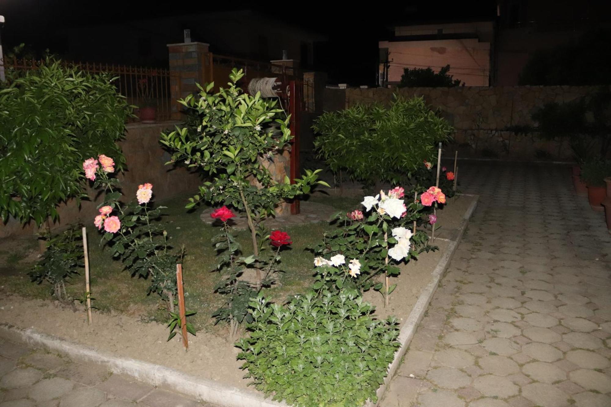 Raisa Guesthouse 12 Berat Bagian luar foto